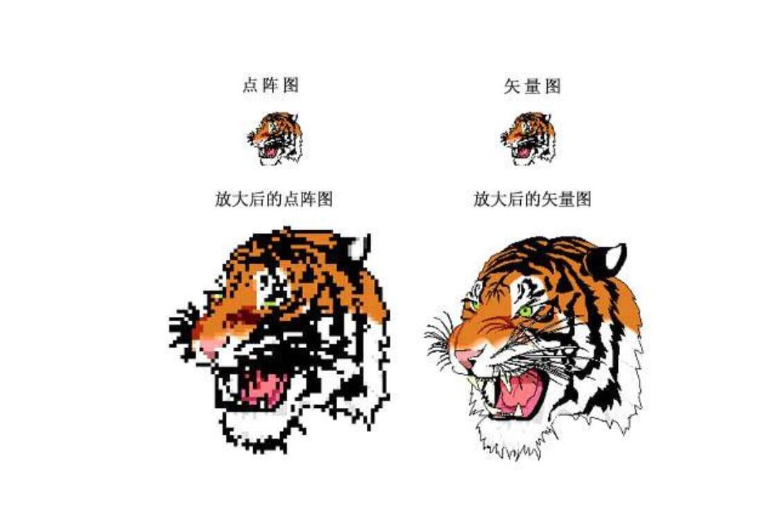 位图和矢量图的区别