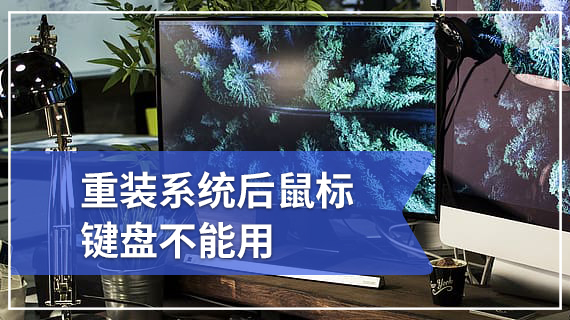 重装系统后鼠标键盘不能用