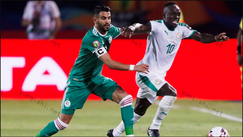 塞内加尔世界杯投注网站还能对该队的赛况进行分析（登顶较难）