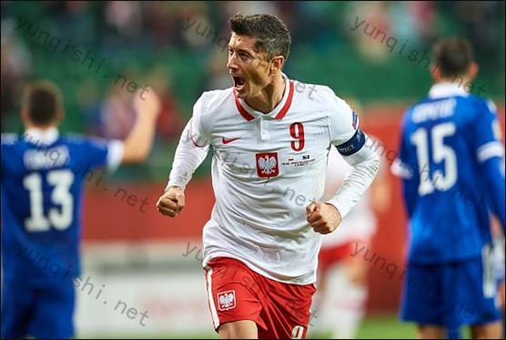 2022塞尔维亚世界杯指定投注站的优势