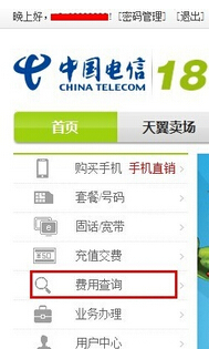 中国电信怎么查询详细账单(1)