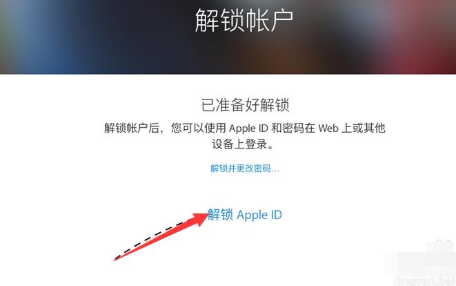 苹果平板id被锁定如何解锁(7)