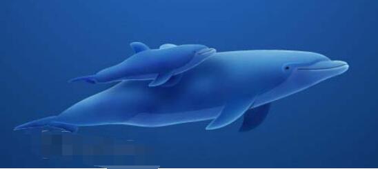 Photoshop将真实海豚照片制作成可爱的卡通海豚图片(29)