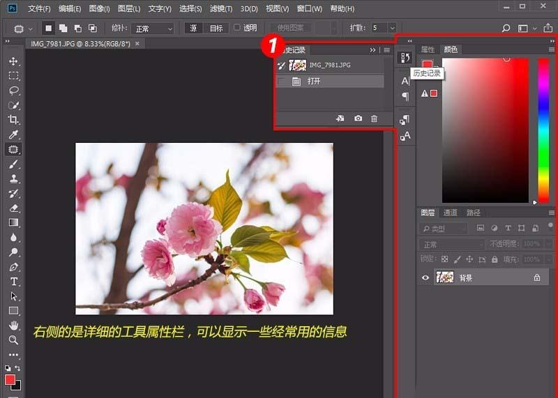 ps CC2018怎么使用(5)