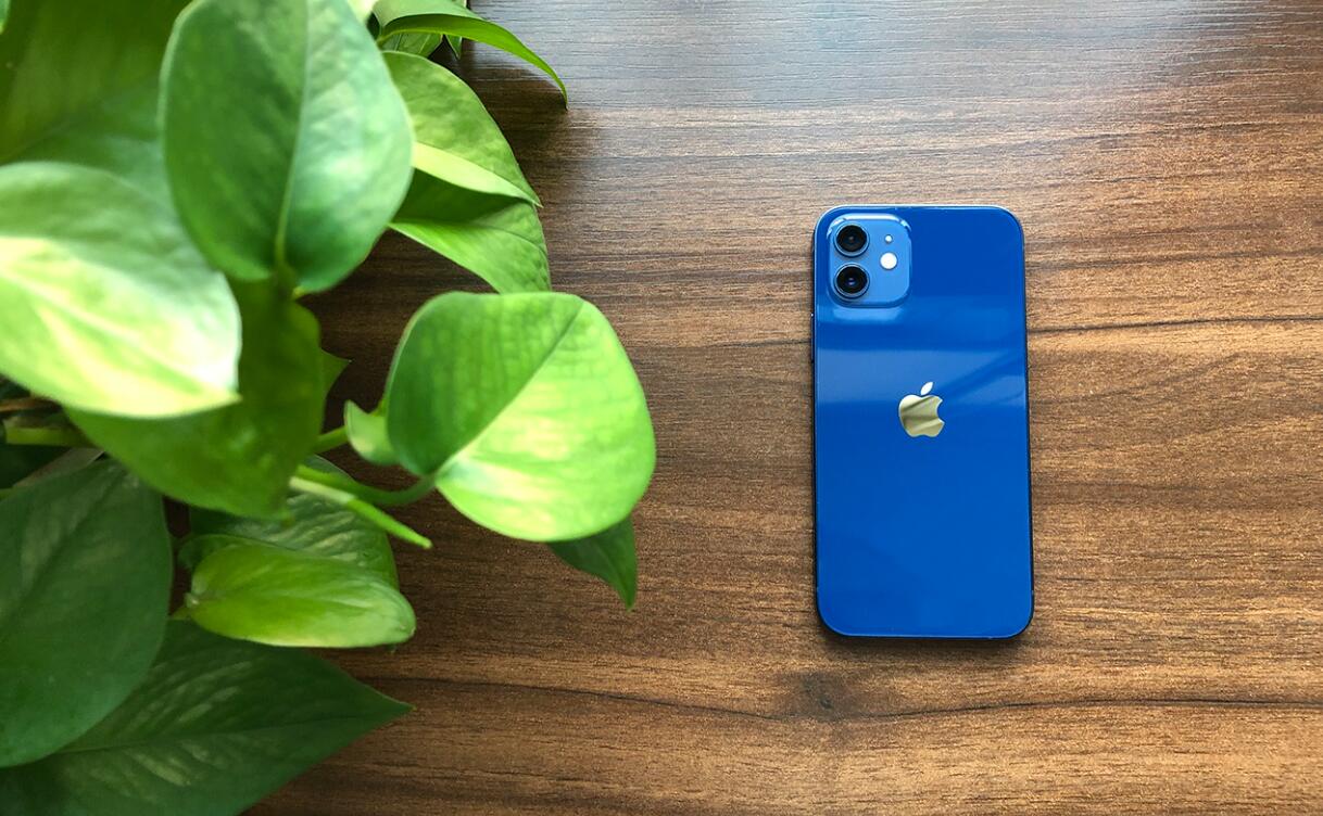 iphone12海蓝色与蓝色的区别(1)