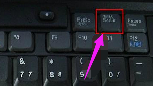 电脑键盘打字母出现数字怎么办(3)