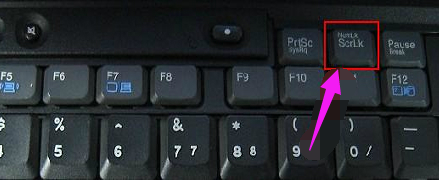 电脑键盘打字母出现数字怎么办(1)