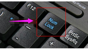 电脑键盘打字母出现数字怎么办