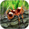 蚂蚁荒野生存模拟内购破