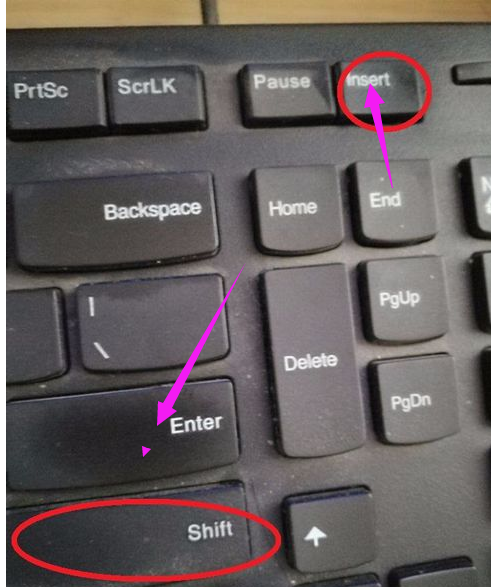 笔记本小键盘怎么开启(5)