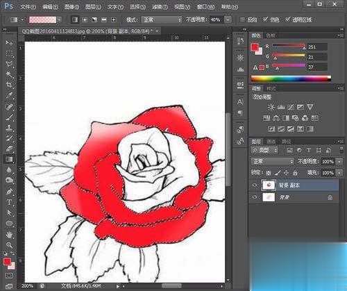 用Photoshop给简笔画玫瑰花涂上颜色步骤(4)