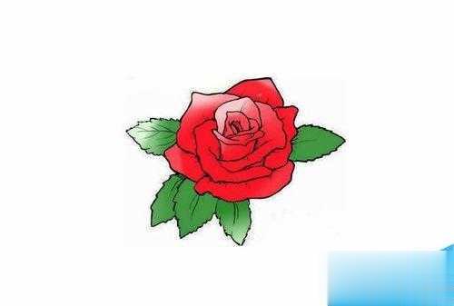 用Photoshop给简笔画玫瑰花涂上颜色步骤(8)