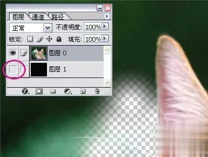 photoshop利用通道为猫咪画面选出主体(6)