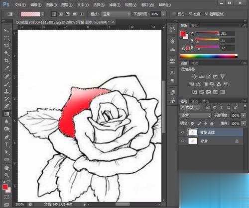 用Photoshop给简笔画玫瑰花涂上颜色步骤(3)
