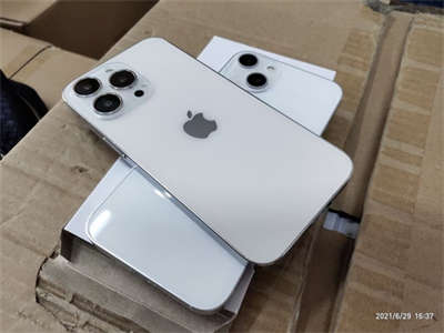 最新高清实拍！iPhone 13/13 Pro外形出炉(1)