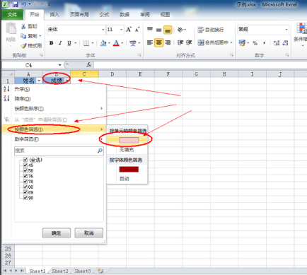 Excel中筛选功能怎么用(4)