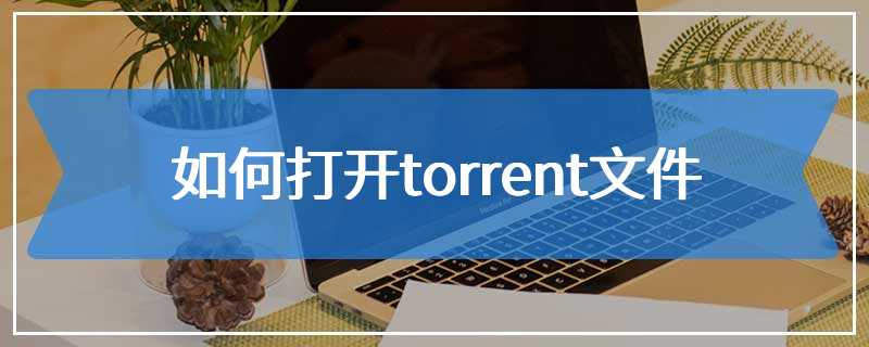 如何打开torrent文件