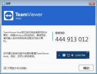 TeamViewer Host(无人值守访问)