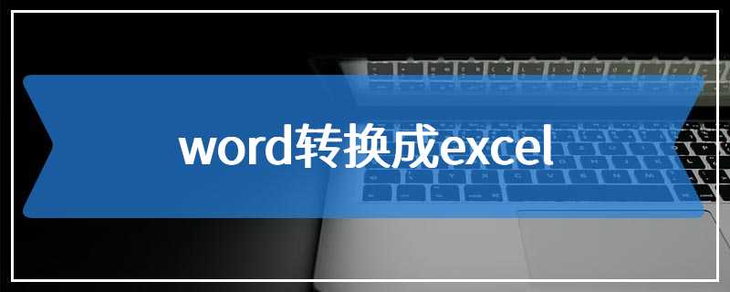 word转换成excel