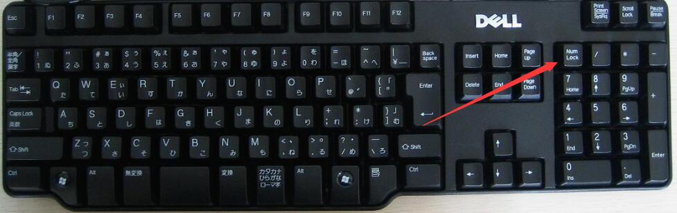 电脑键盘锁住了按哪个键解锁
