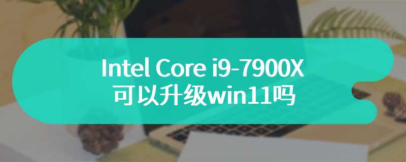 Intel Core i9-7900X可以升级win11吗