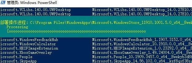 windows11应用商店点了没反应解决方法(4)