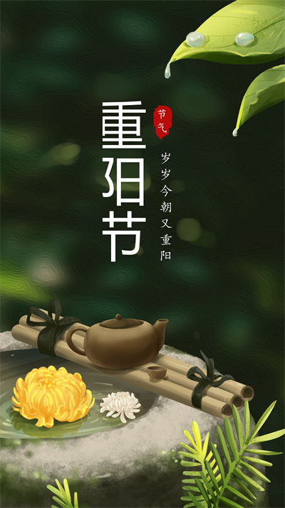 重阳药店海报图片制作(9)