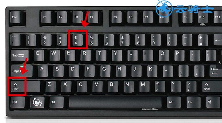 美元符号在键盘上怎么打(2)