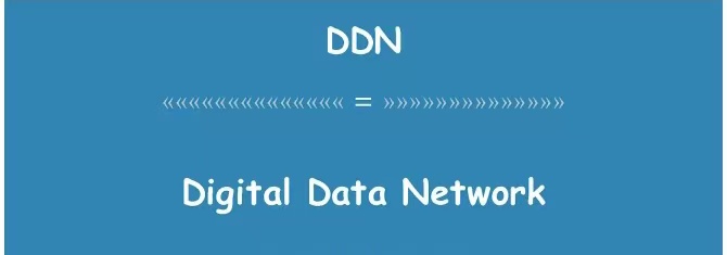 DDN网是一种什么网