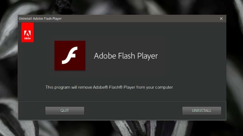 Adobe Flash Player(1)