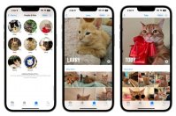 苹果 iOS 17 照片应用可识别宠物：可分辨出两只不同的橘猫