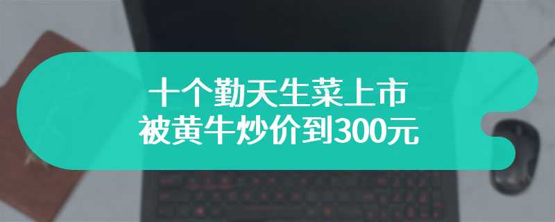 十个勤天生菜上市 被黄牛炒价到300元