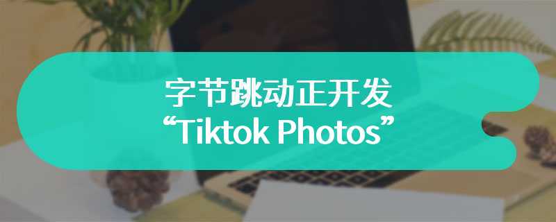 字节跳动正开发“Tiktok Photos”与 Instagram 竞争